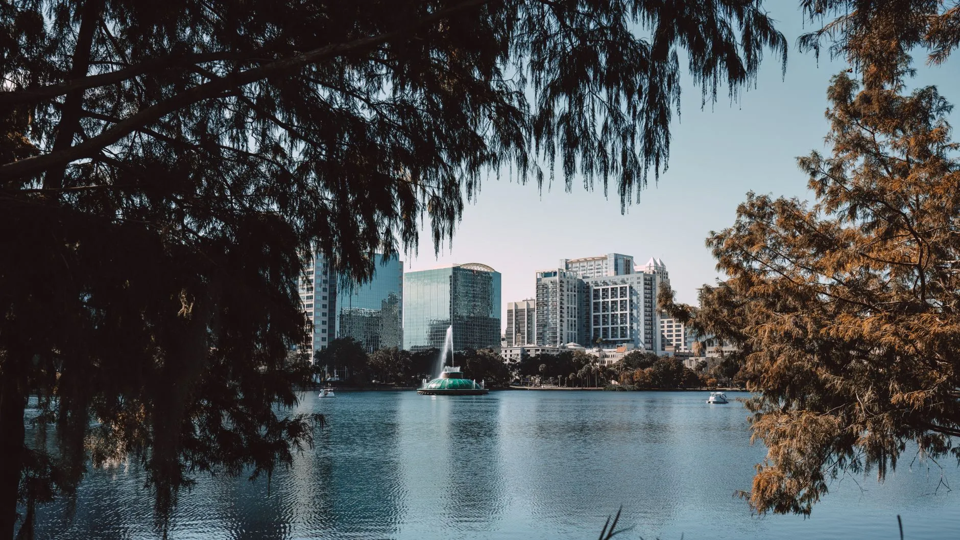 Downtown Orlando's towers seen across Lake Eola, framed by cypress branches, with the park's fountain out on the water